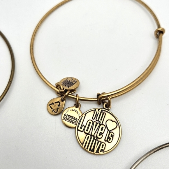 ๐๏ธ FREE ADD ON ALEX & ANI Bracelet Choice - Picture 6 of 7